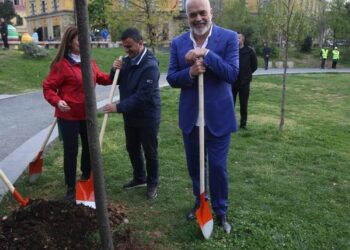 Rama imiton Velianj: Një pemë për çdo karrige që lokalet duan të mbajnë në hapësirat publike