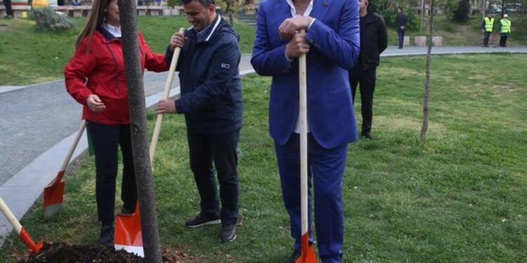 Rama imiton Velianj: Një pemë për çdo karrige që lokalet duan të mbajnë në hapësirat publike