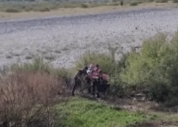 Video/ Momenti i arrestimit të autorit të masakrës në Shkodër, u kap në lumin Kir teksa tentoi arratisjen