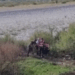 Video/ Momenti i arrestimit të autorit të masakrës në Shkodër, u kap në lumin Kir teksa tentoi arratisjen