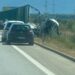 Aksidenti në Vlorë/ Shkon në dy numri i viktimave, ndërron jetë dhe pasagjeri i kamionçinës (EMRAT)