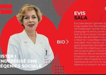 lidhjet e Evis Salës me Klodian Allajbeun, emërimi i dyshimtë i Ramës për interesat e përfituesit të koncesioneve