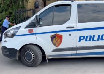 Raportohet për të shtëna me armë zjarri pranë Liqenit Artificial në Tiranë