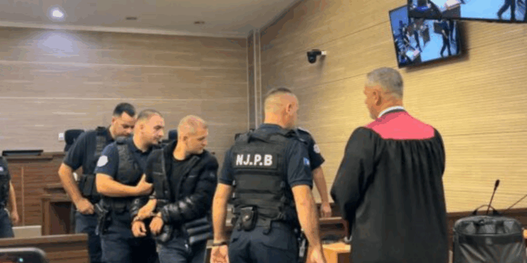 Porositi vrasjen e Liridona Ademajt për 30 mijë euro, ish-drejtori i Klinikës së Psikiatrisë: Naim Murseli nuk ka pasur asnjëherë probleme psikike