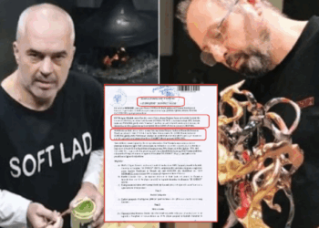 Adi Dule, poçari i Edi Ramës hyn në tregun e parqeve fotovoltaikëve