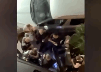 Policia dhe antidroga aksion në Fier për goditjen e grupeve të trafikut të drogës