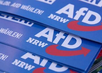 Gjashtë kandidatë të AfD-së humbin jetën para zgjedhjeve lokale në Gjermani