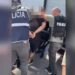 Kanabis me postë nga Kanadaja, arrestohet i riu (Emri)