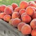 Pasojat që sjellin frutat me pesticide