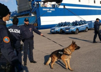 Kapet pas pesë vitesh arrati 44-vjeçari shqiptar në Itali
