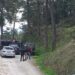 Punonte si çoban në Greqi, gjendet i pajetë në kufi trupi i 60-vjeçarit nga Erseka