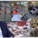 Kompania italiane që menaxhon mbetjet urbane të Tiranës, AGSM AIM, rrit fitimet në Shqipëri