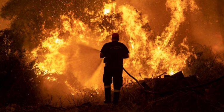 Bilanci i zjarrit në Skënderbegas të Gramshit: 68 banesa të dëmtuara