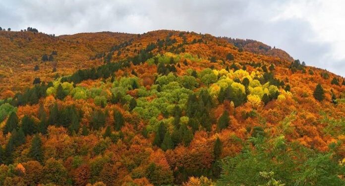 Moti sot/ E shtuna me reshje shiu, kryesisht në zonat veriore dhe qendrore