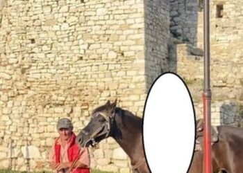 Sherri fatal për një foto me kalë, si ndodhi vrasja e 42-vjeçarit në Berat?