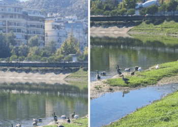 Studimi alarmant/ Liqeni Artificial i sëmurë, ndotje nga tetë drejtime