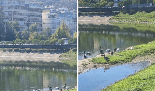 Studimi alarmant/ Liqeni Artificial i sëmurë, ndotje nga tetë drejtime
