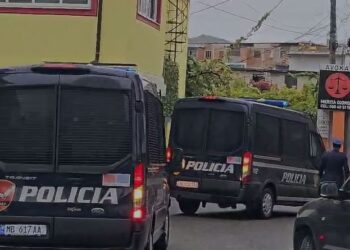 Operacioni me 14 të arrestuar në Elbasan, gjykata lë në burg vetëm 4 prej tyre