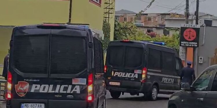 Operacioni me 14 të arrestuar në Elbasan, gjykata lë në burg vetëm 4 prej tyre