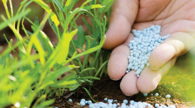 INSTAT: Importet e pesticideve, rritje në krahasim me një dekadë më parë