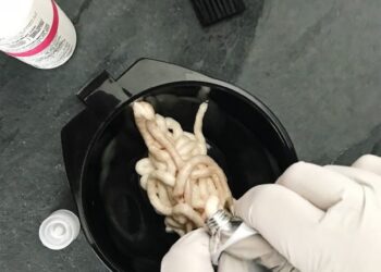 Çfarë duhet të dish para se të lyesh flokët në kushte shtëpie, këshilla që duhen respektuar