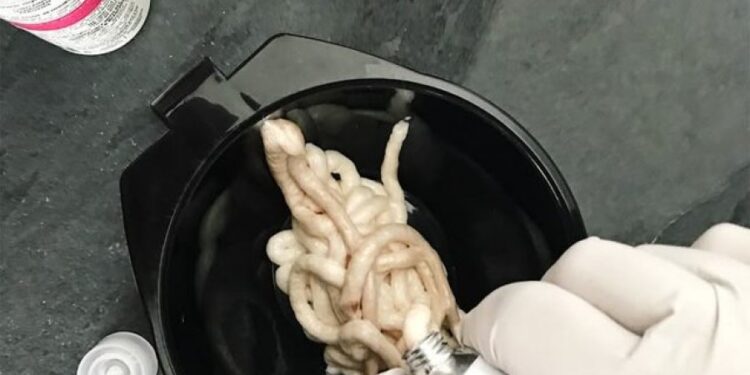 Çfarë duhet të dish para se të lyesh flokët në kushte shtëpie, këshilla që duhen respektuar