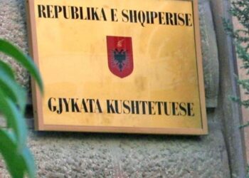 Urdhri i ri i mjekut/ Kushtetuesja: Drejtori i spitalit nuk mund të vendosë për dypunësimin e mjekëve