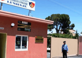 Ishte në proces gjyqësor me të birin, 49-vjeçarja dhunon avokatin e djalit