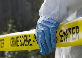 EMRAT/ Dy vëllezërit u vranë nga kunati, detajet nga ngjarja tragjike