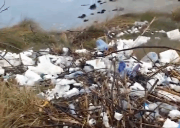 Grykëderdhja e lumit Seman si kosh plehrash, tonelata mbetjesh mblidhen në plazh