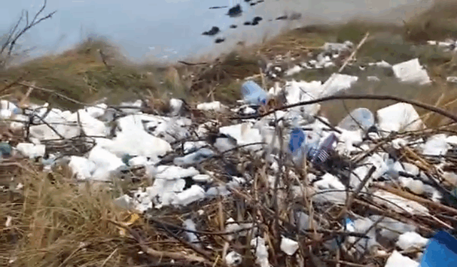 Grykëderdhja e lumit Seman si kosh plehrash, tonelata mbetjesh mblidhen në plazh