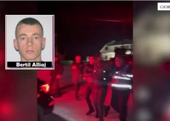 “E vrava për një arsye të fortë”, zbardhet dëshmia e Bertil Alliajt pasi ekzekutoi kushëririn