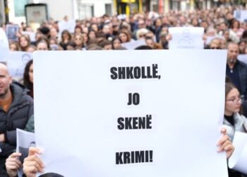 BIRN: Mbyllja e TikTok-ut nuk ndikoi në minimizimin e dhunës në shkolla