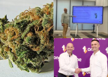 A e dini kush jam unë…/ Si u arrestuan 2 drejtorët e ONE Albania