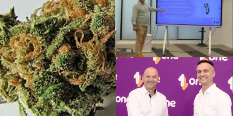 A e dini kush jam unë…/ Si u arrestuan 2 drejtorët e ONE Albania