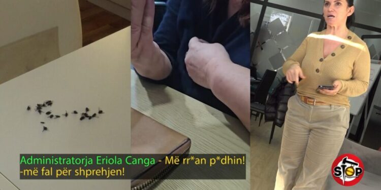 “Më rr*ani p*dhin”, shefja e agjensisë së “Future home” kërcënon qytetaren