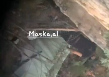 Denoncim në Krujë/ Punonjësi i policisë dyshohet se ka ruajtur parcelat e kanabisit të vëllait (VIDEO)
