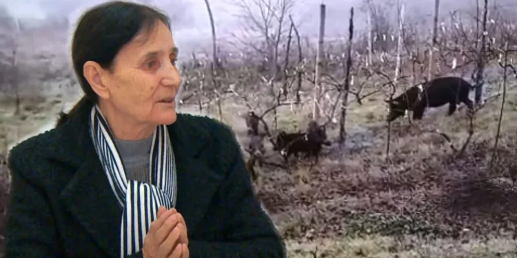 Ligji i shtetit apo “ligji i fshatit”/ Kryeplaku në Mirditë shkatërron pronat e banorëve