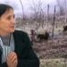 Ligji i shtetit apo “ligji i fshatit”/ Kryeplaku në Mirditë shkatërron pronat e banorëve