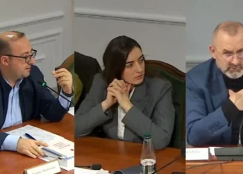 Zegjineja përplaset me Korreshin, Manja i tërheq vëmendjen