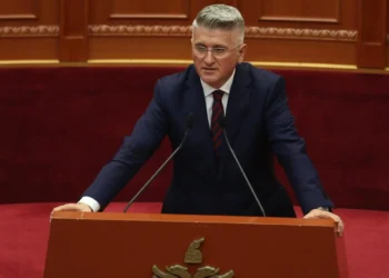 PS kyç dyert e Kuvendit, Gjekmarkaj: Nuk është bunkeri personal i Peleshit