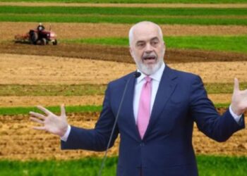Bujqësia dhe industria në rënie, ekonomia mbahet nga sektorë të brishtë