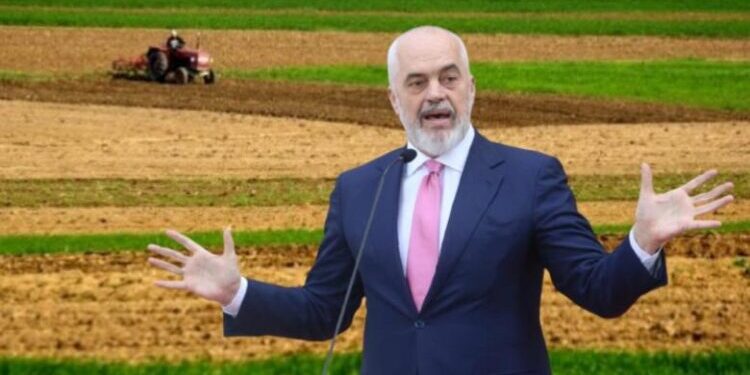 Bujqësia dhe industria në rënie, ekonomia mbahet nga sektorë të brishtë