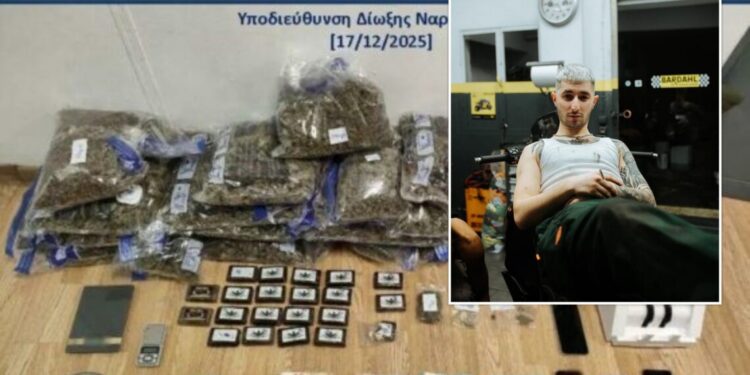 Goditet grupi i drogës në Greqi, mes të arrestuarve edhe këngëtari 22-vjeçar nga Tepelena (Emri)