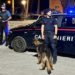 Operacion antidrogë në Itali/ Goditet grupi kriminal në Pescara, hetimi shtrihet deri në Shqipëri