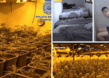 Zbulohet shtëpia e barit në Spanjë, arrestohet shqiptari