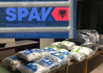 Trafik ndërkombëtar marijuane dhe kokaine në itinerarin Mali i Zi-Turqi-vendet e BE, detaje nga goditja e grupit kriminal ‘Rraja’