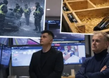 –10 gradë propagandë: Dogana Shqiptare dhe Gent Gazheli mes hipokrizisë publike dhe një skandali që kërkon përgjigje