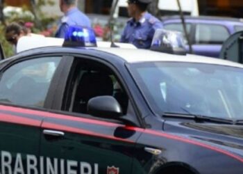 E përfshirë në trafikun ndërkombëtar të drogës, shkatërrohet organizata kriminale shqiptare në Ankona