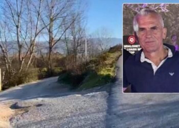 “Më doli situata jashtë kontrollit”/ Vrau me çekiç 60-vjeçarin në Mamurras, zbardhet dëshmia e autorit